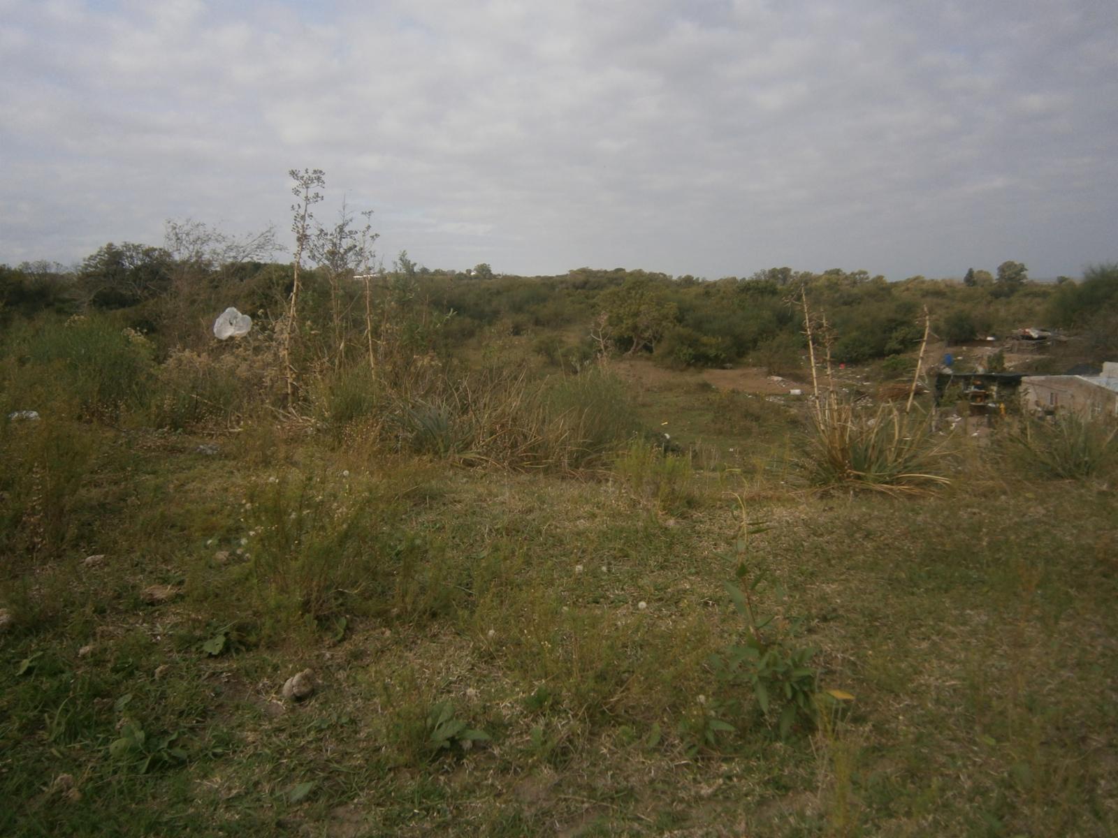 Terreno Zona Quinto Cuartel - 15.000 M²