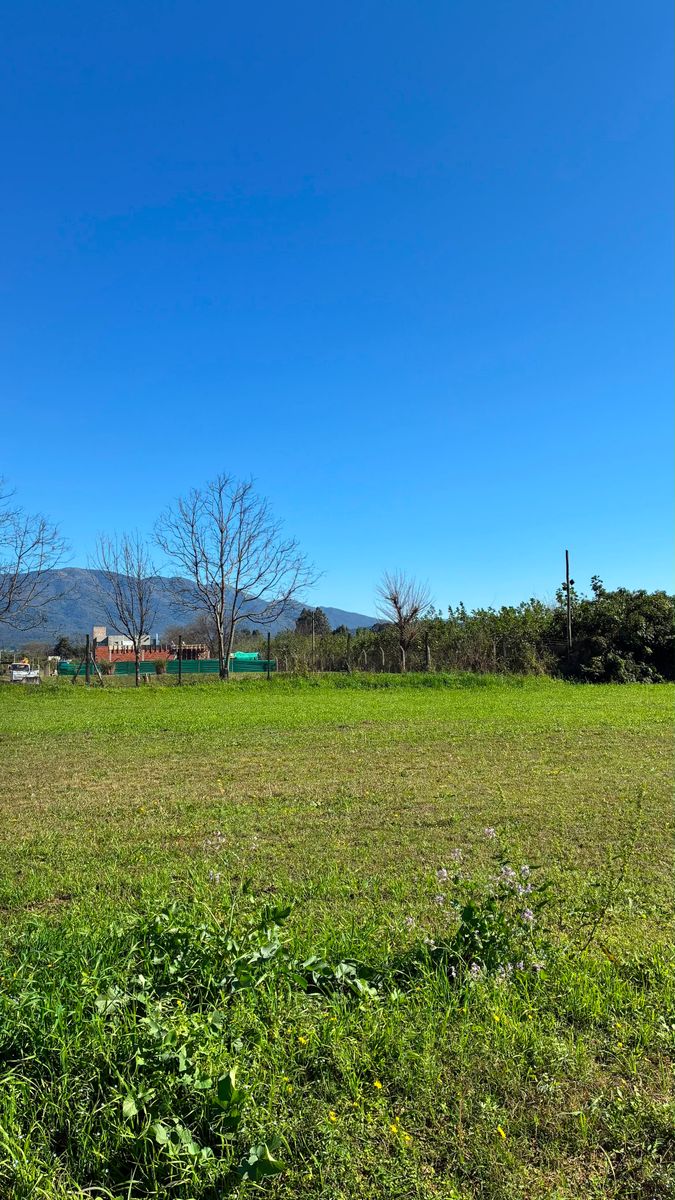EN VENTA 3 LOTES CONTIGUOS EN BARRIO LAGAR DE LOS NOGALES