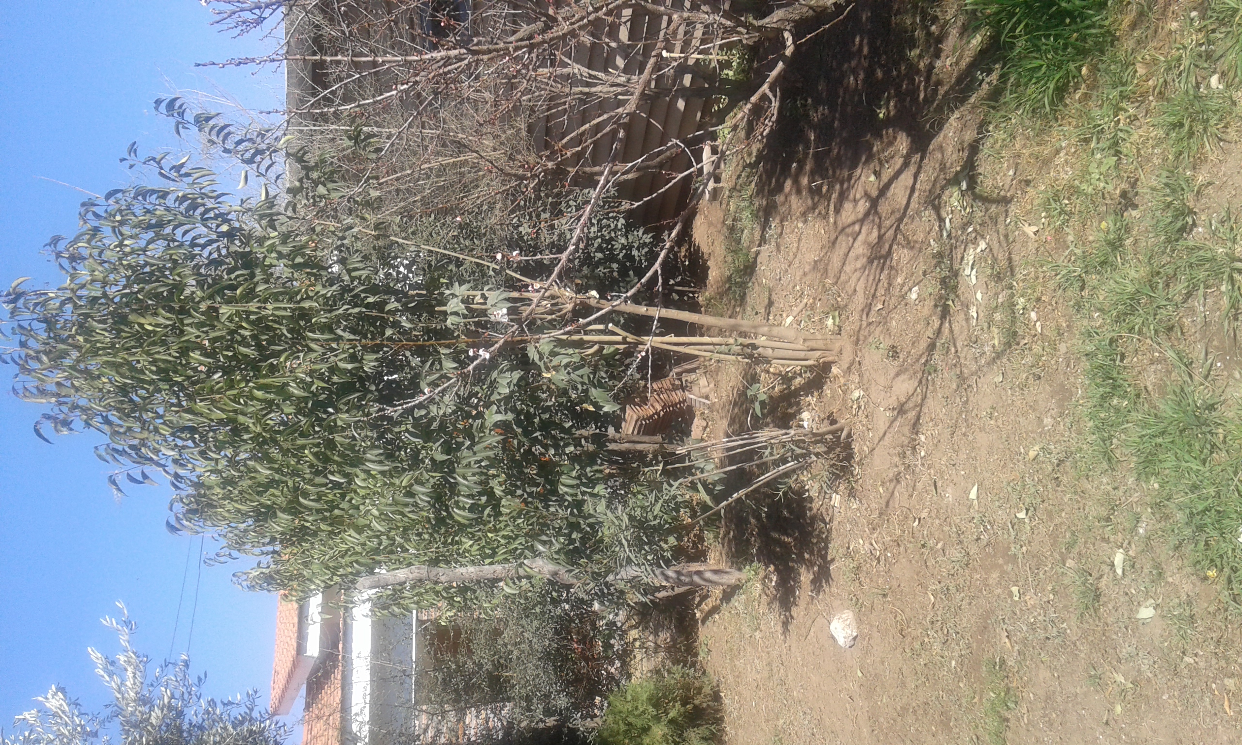 Imagens