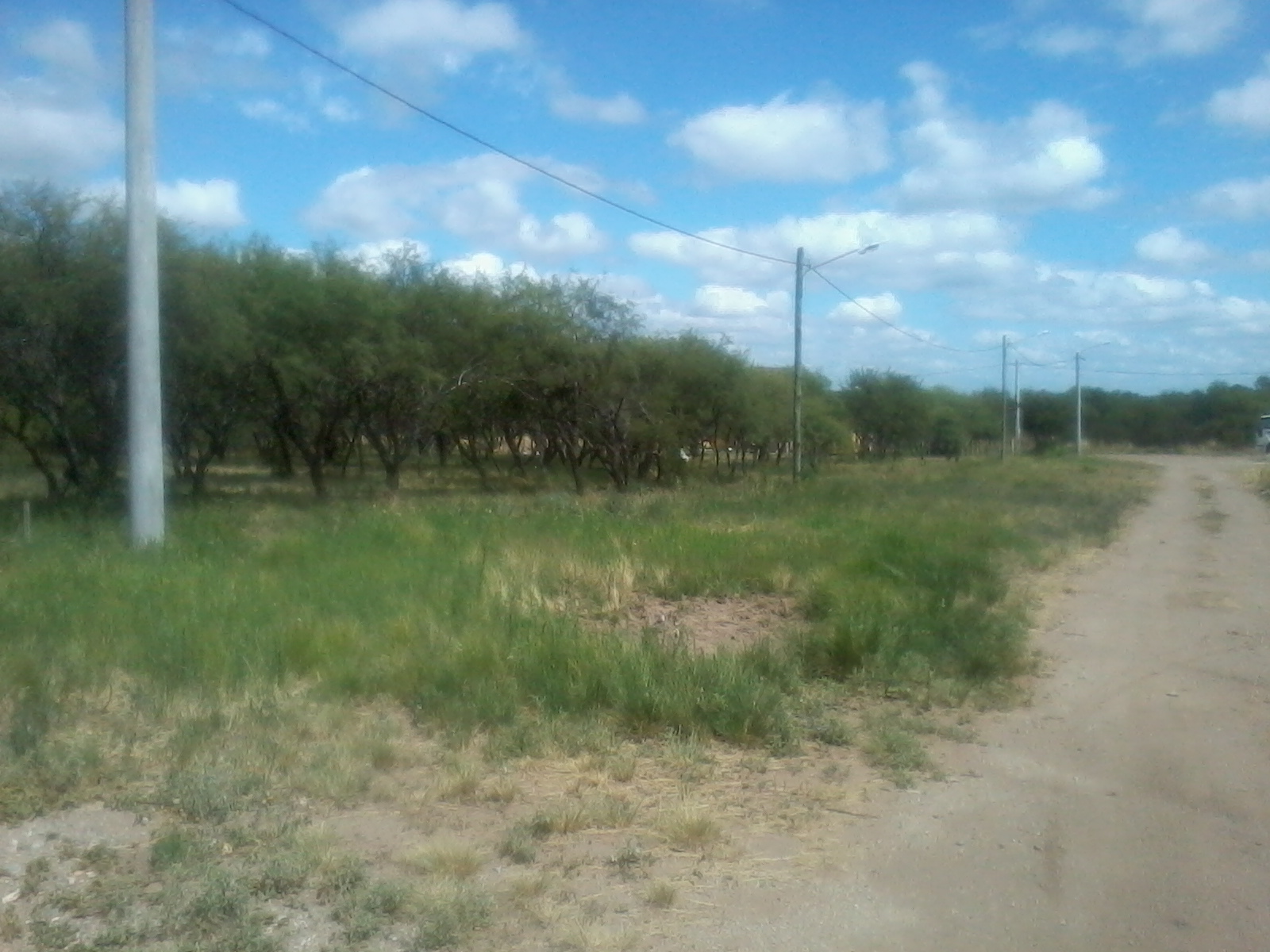 Imagens
