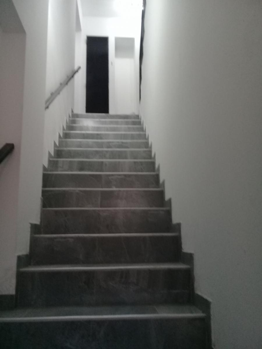 Imagens
