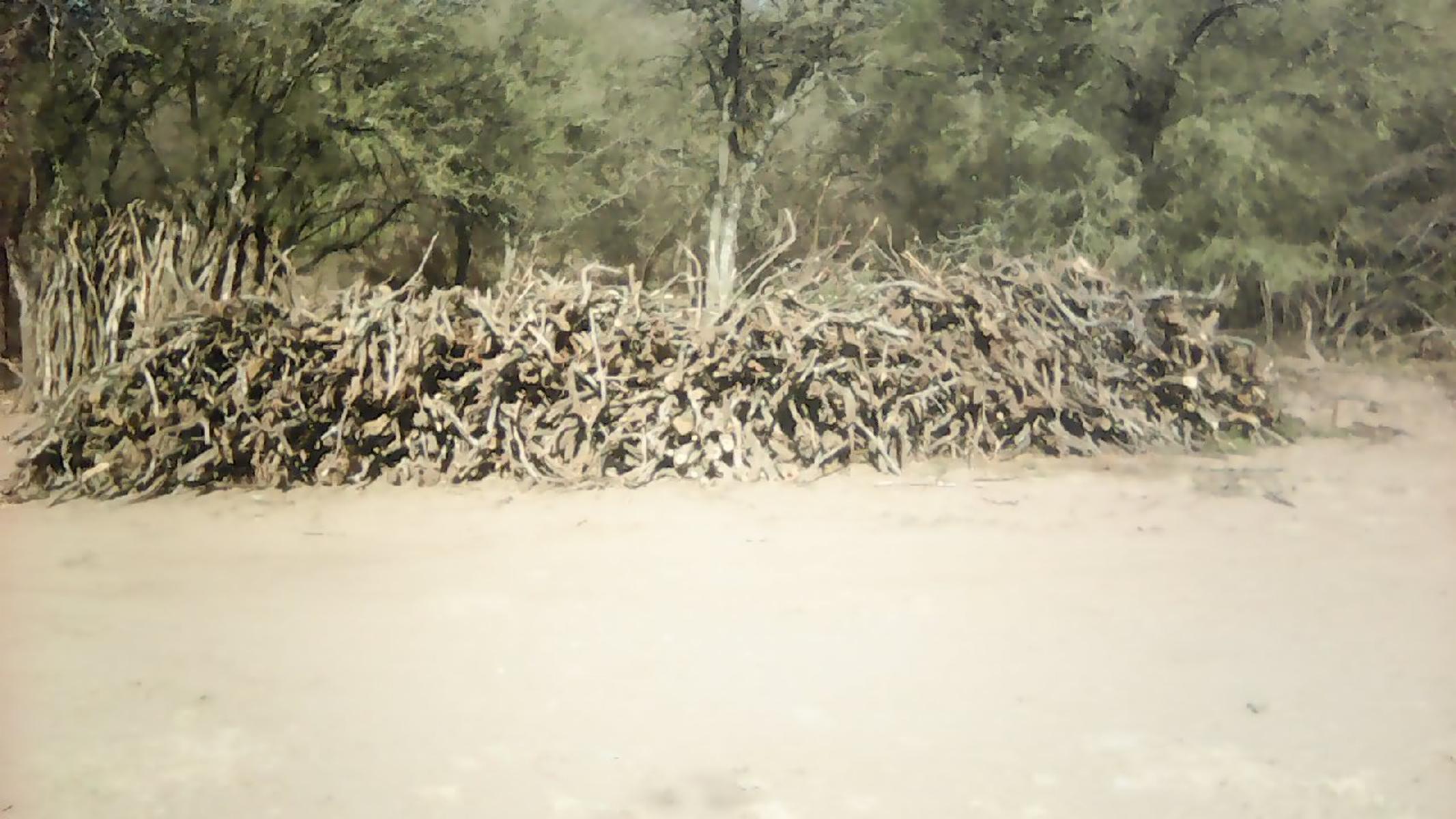 Contrato de Explotación Forestal