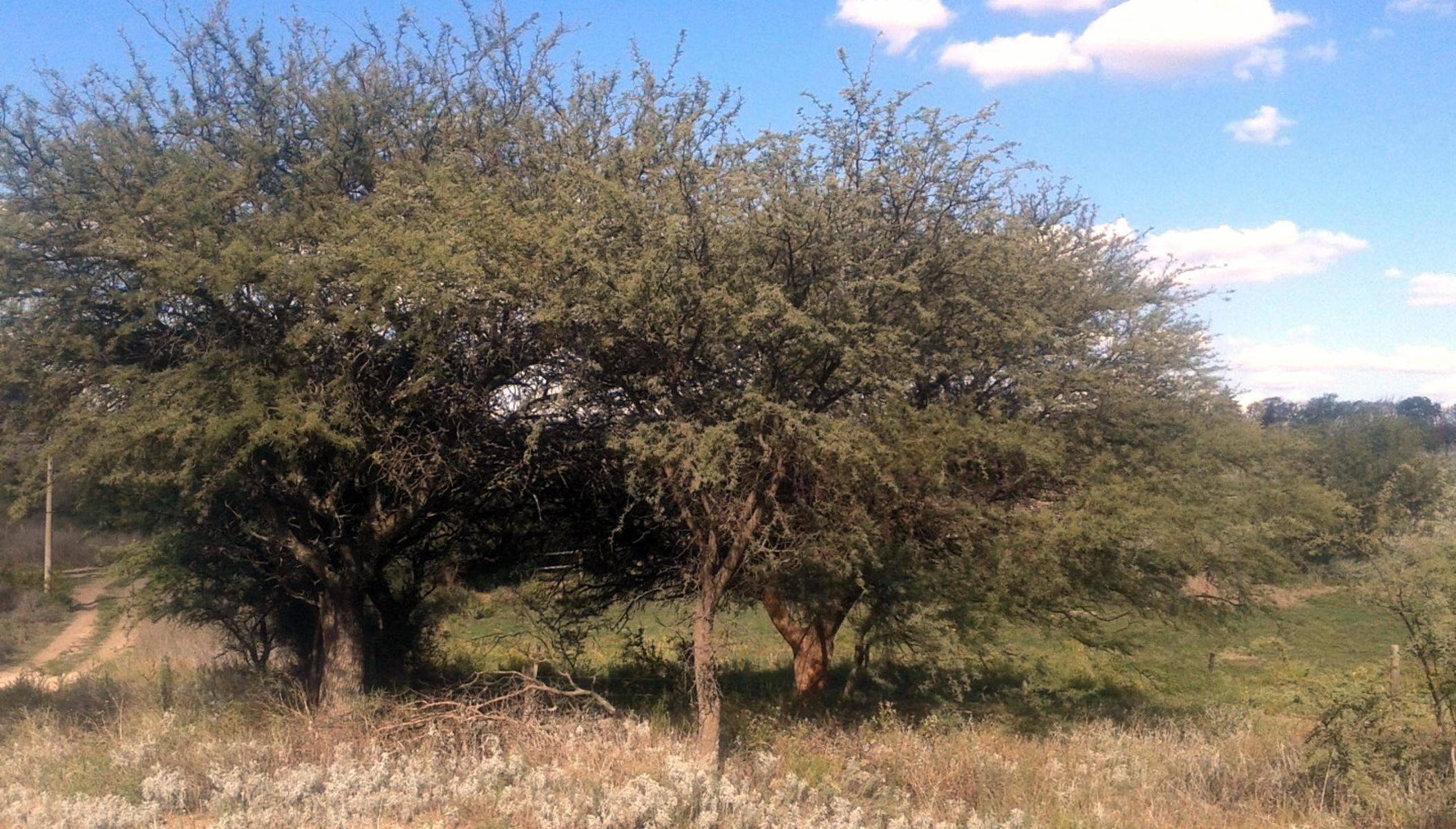 Lotes en zona de crecimiento en Santa Rosa. Nueva Vista II