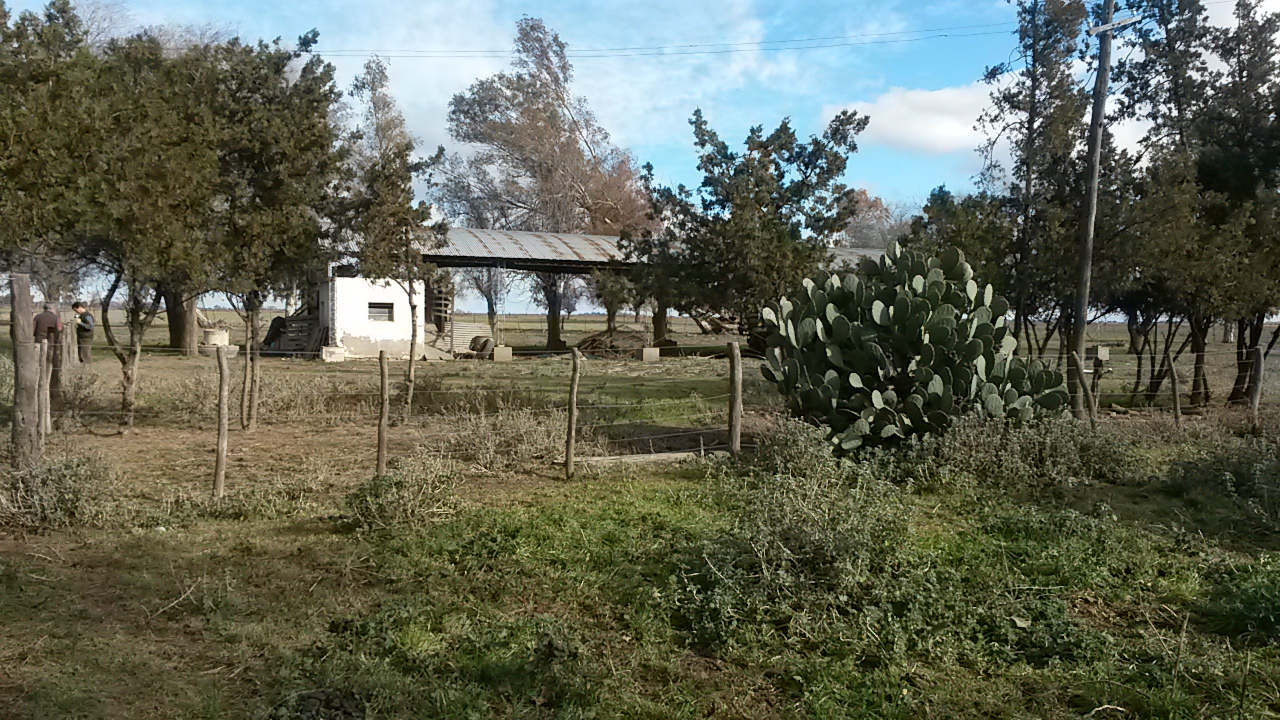 Campo de 330 Hectáreas al Norte de Anguil. 