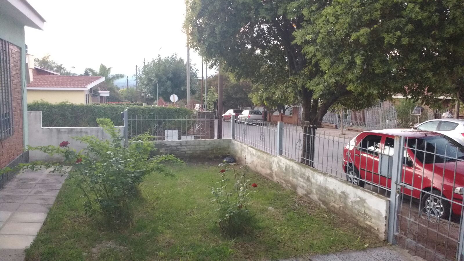 Imagens