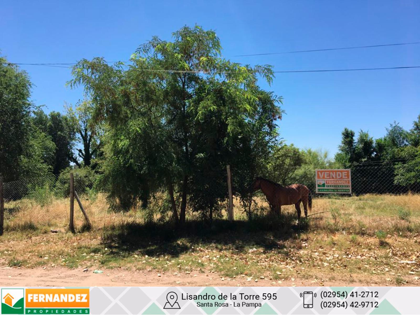 VENTA 5 TERRENOS  sobre J. Vaira entre C. Payne y Callaqueo.