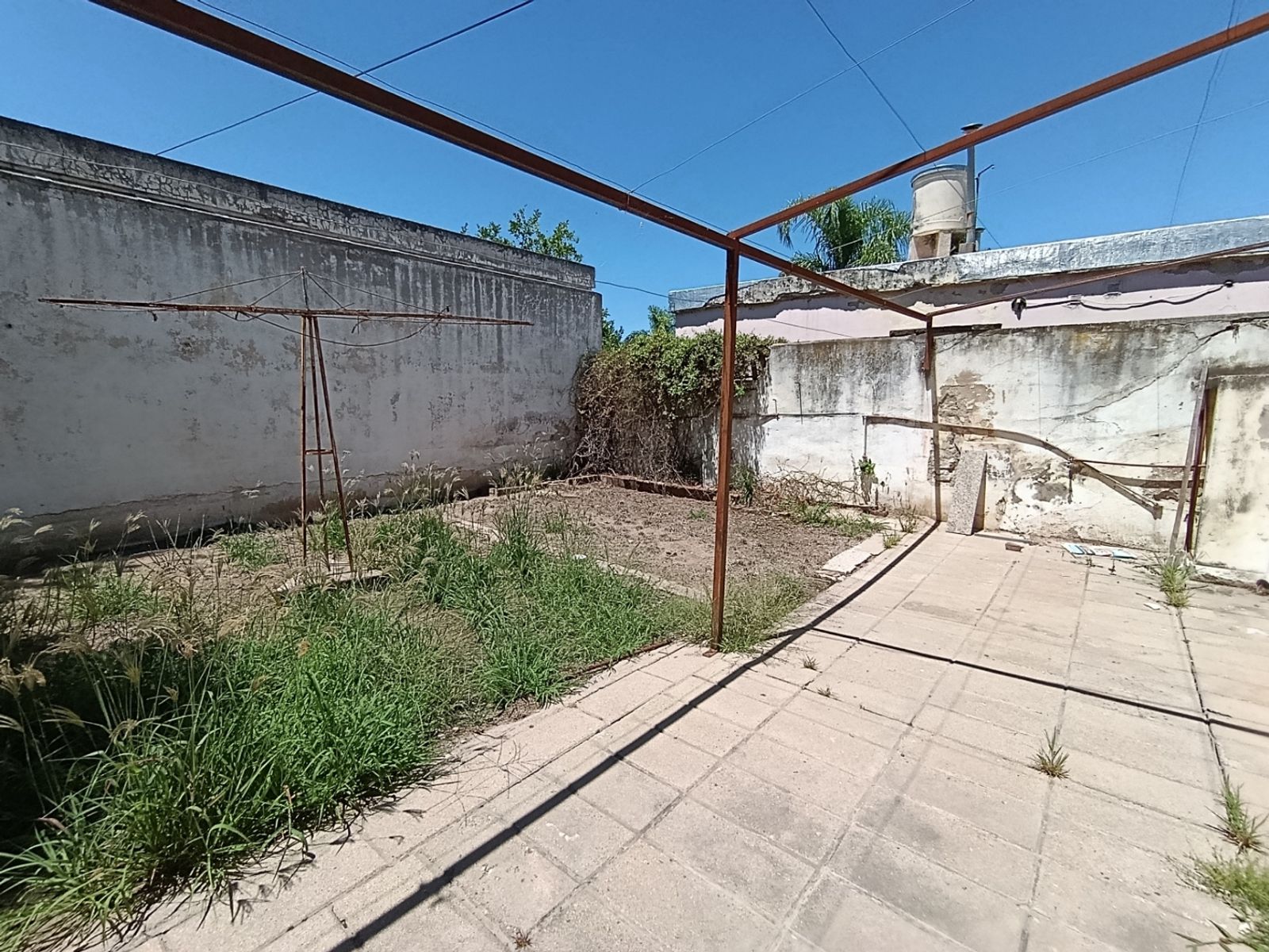 Imagens