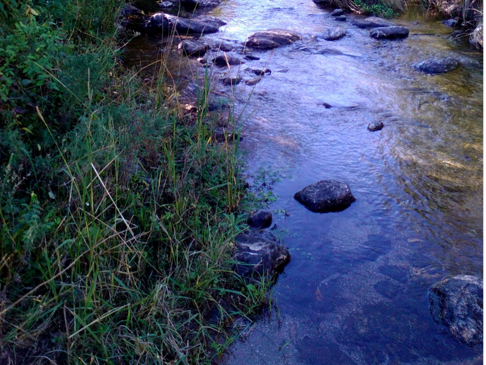 ÚLTIMO LOTE DISPONIBLES CON MARGEN DE ARROYO