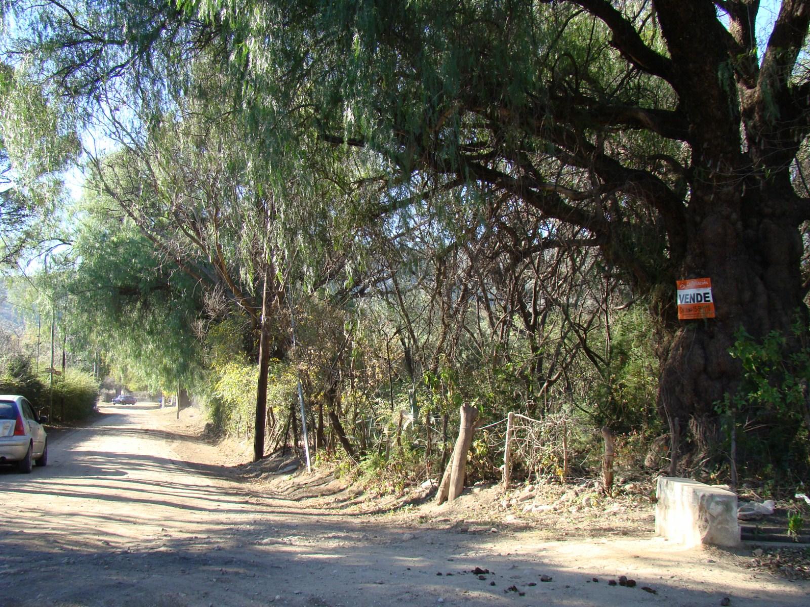 LOTES EN VENTA EN LOMA BOLA