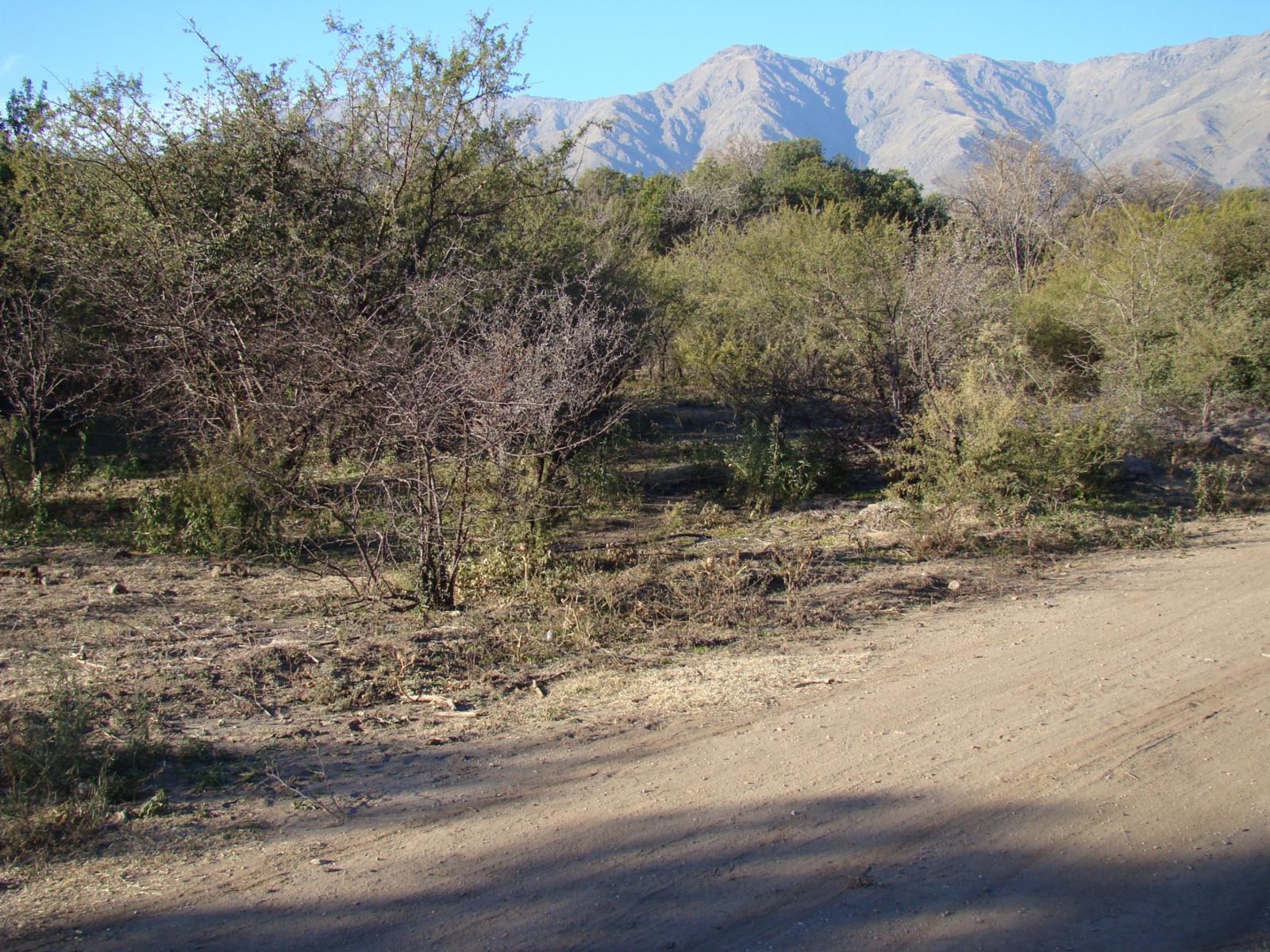 LOTES EN TRASLASIERRA LA POBLACIÓN