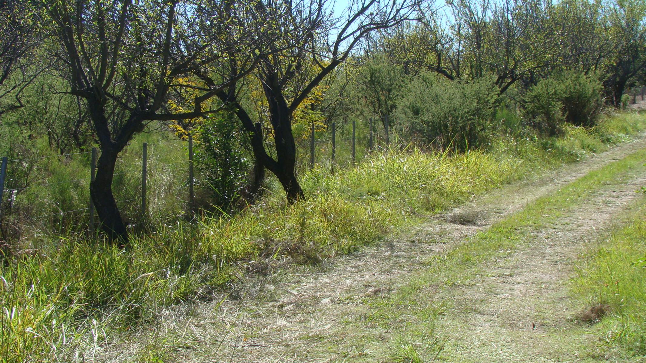 VENTA EN TRASLASIERRA LA POBLACIÓN