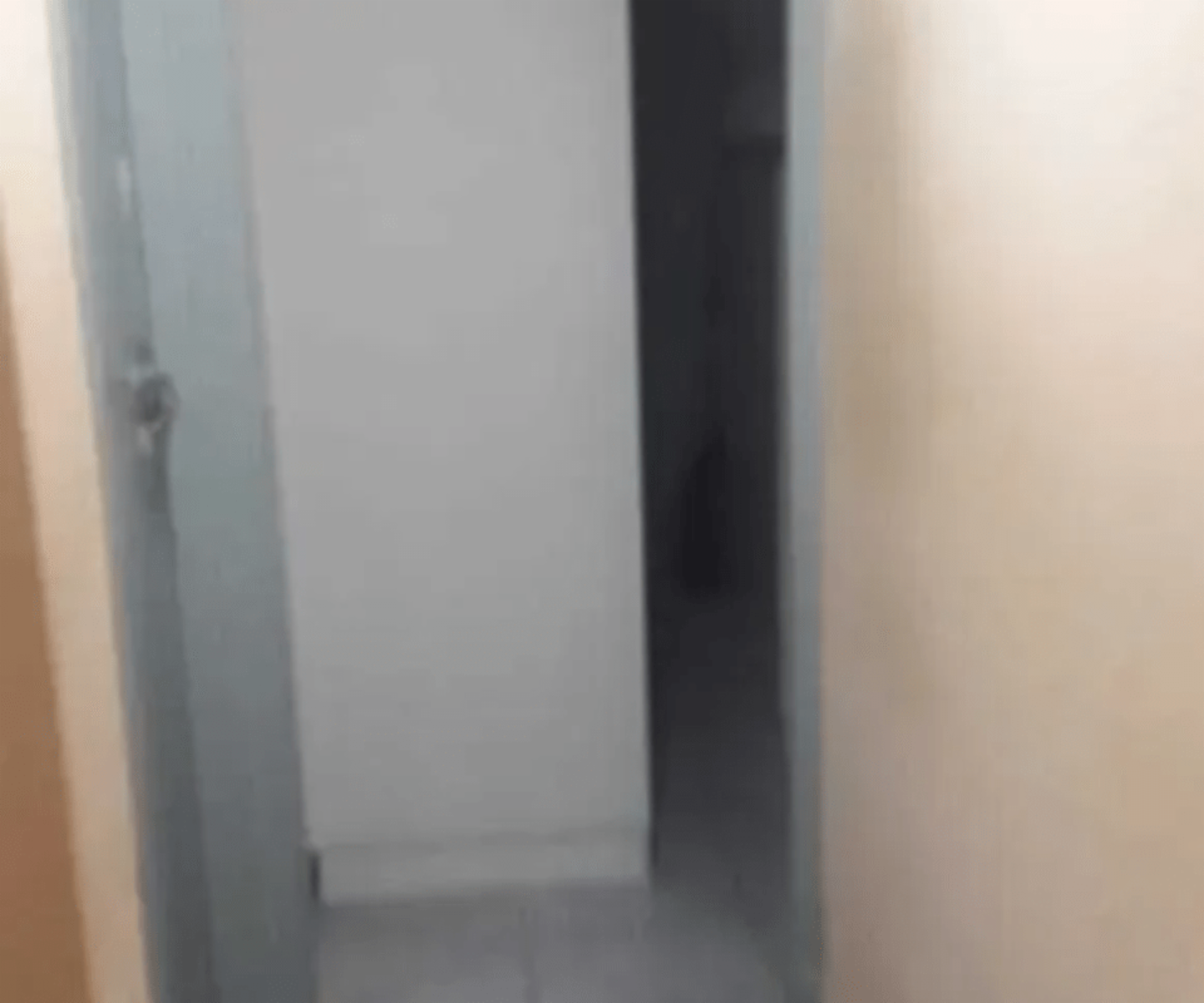 Imágenes