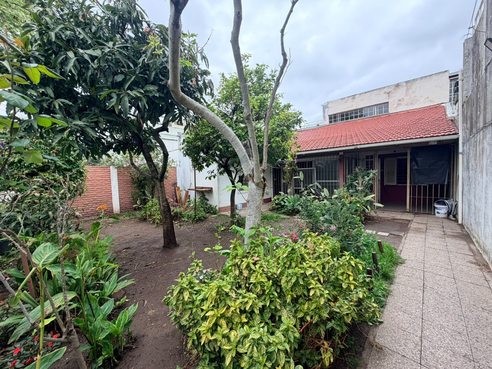 Imágenes