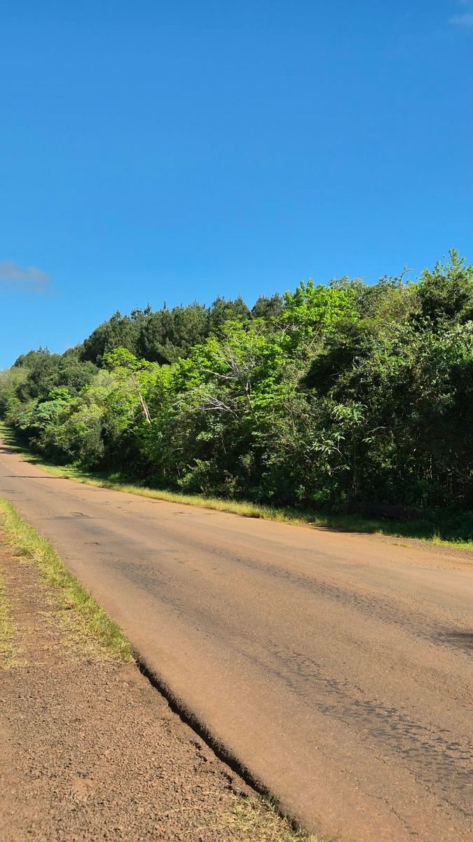 CAMPO DE 8 HECTÁREAS EN PANAMBÍ MISIONES A METROS DE LA RUTA 2