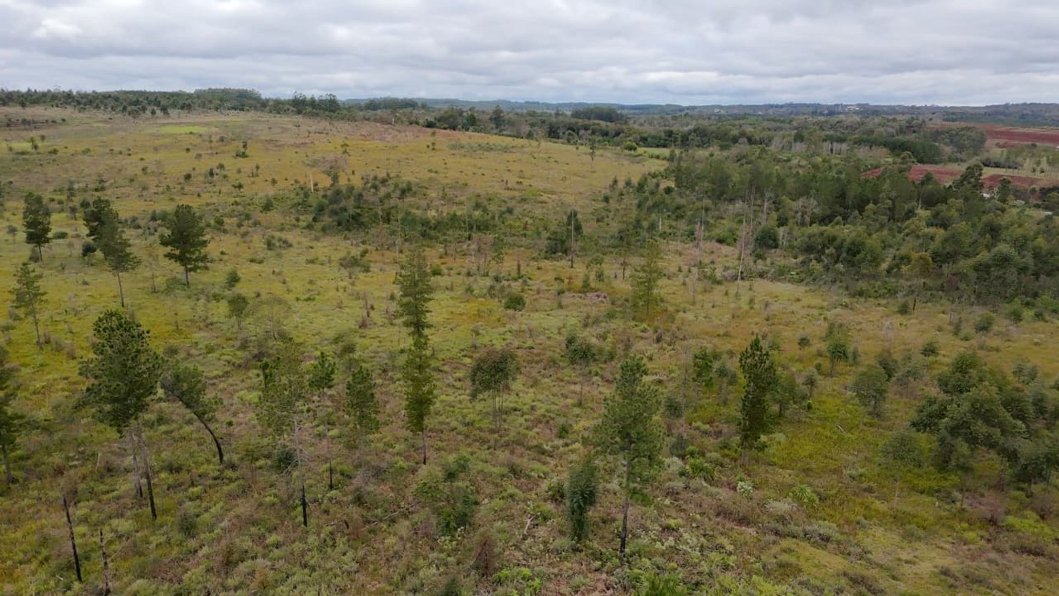 CAMPO EN VENTA EN GOBERNADOR ROCA MISIONES - 70 HECTÁREAS A METROS DE RUTA N°12