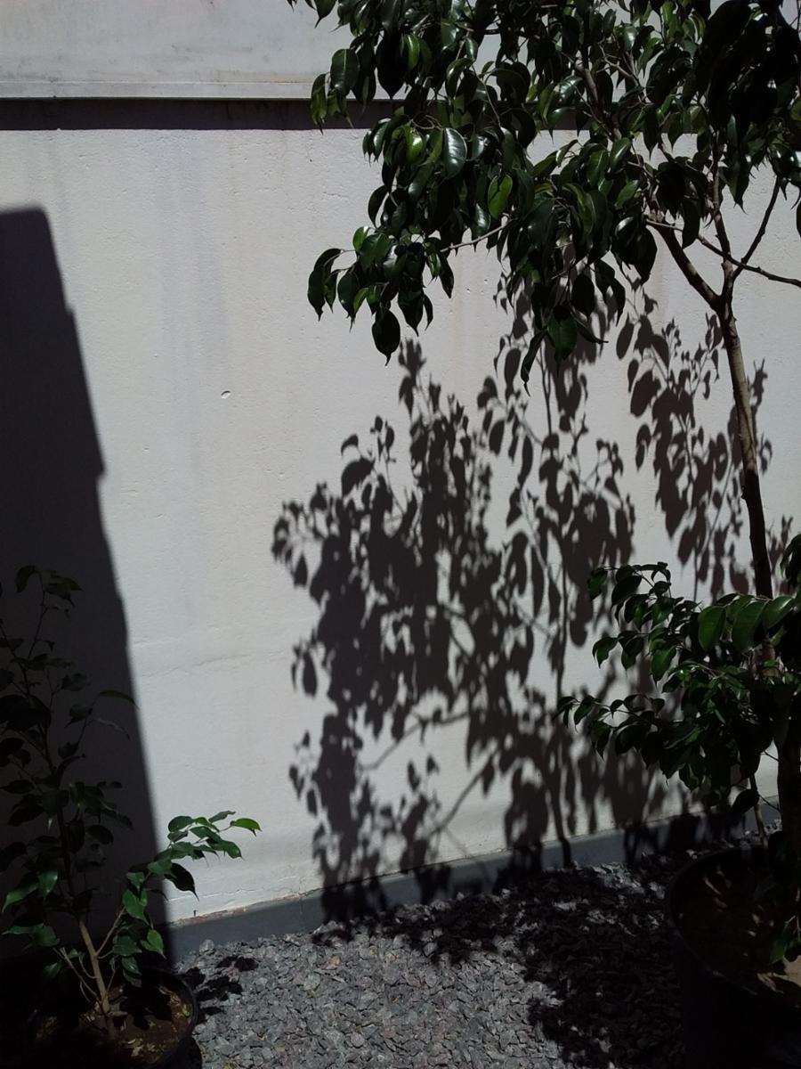 Imagens