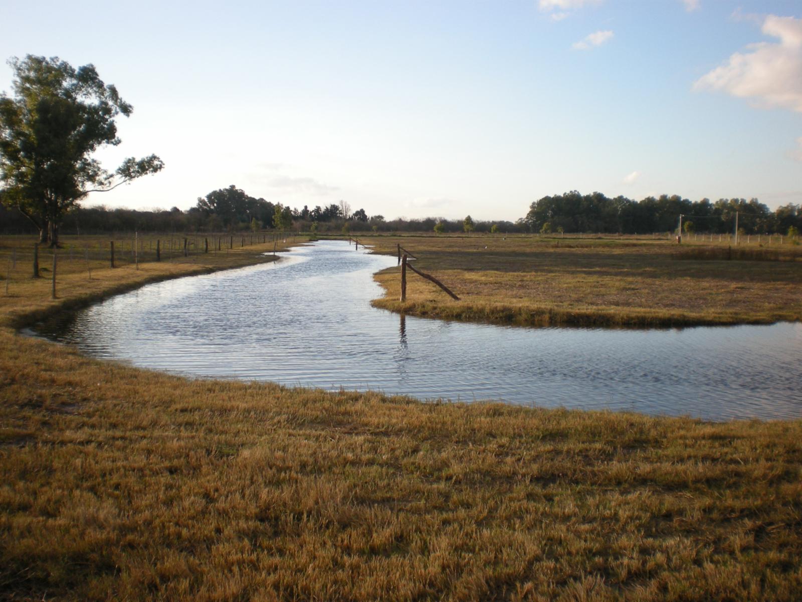 SE VENDE  CASA FRENTE DE 4 AMBIENTES SOBRE LOTE DE 2000METROS EN LOBOS