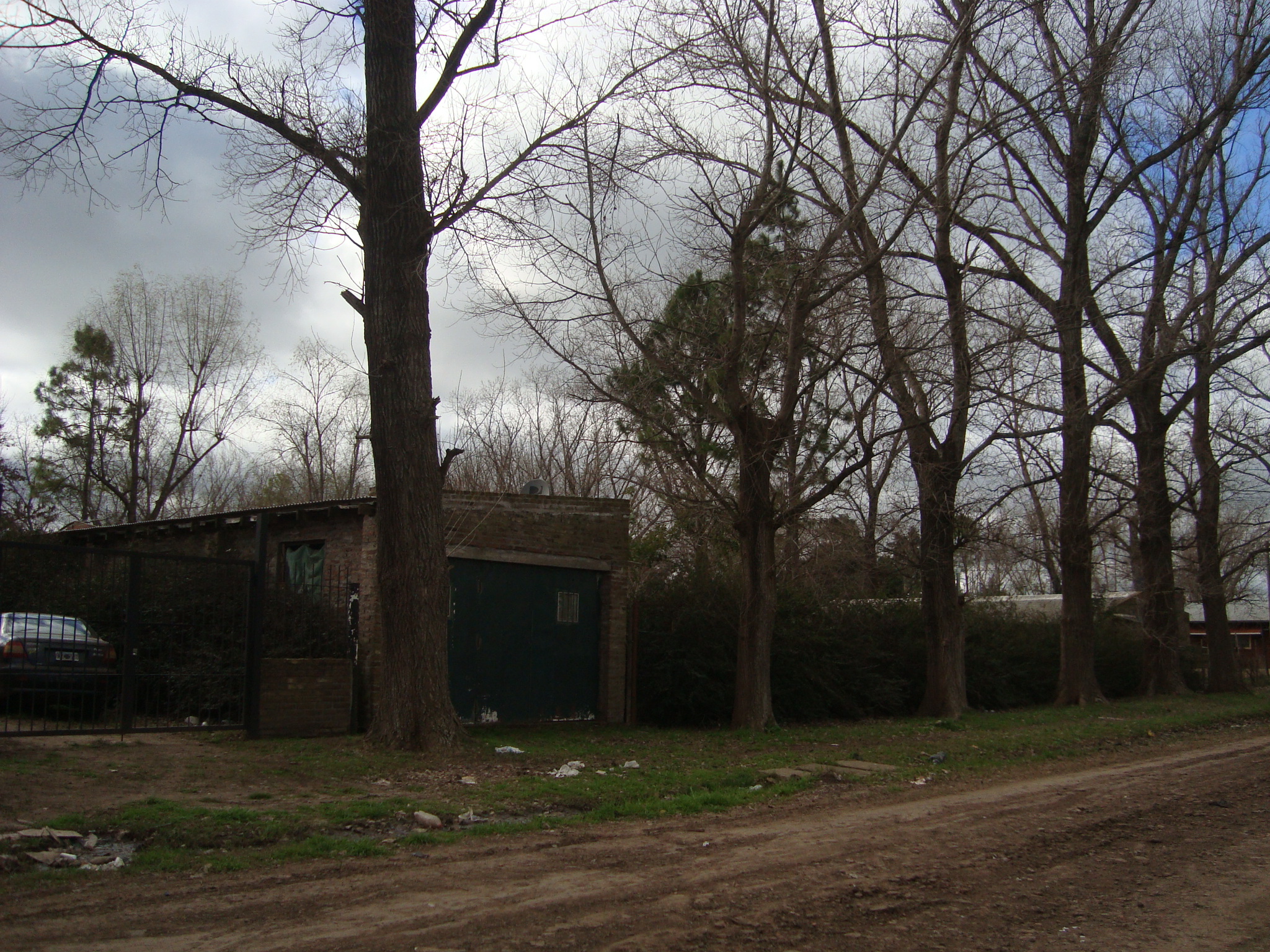 CASA APTA CREDITO CON TERRENO AMPLIO FORESTADO