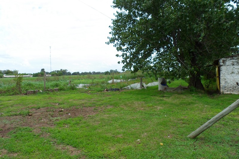 GRANJA AVÍCOLA 2 HAS. 25 AS. IMPORTANTES MEJORAS Sobre Ruta Provincial Nº41 KM. 267 