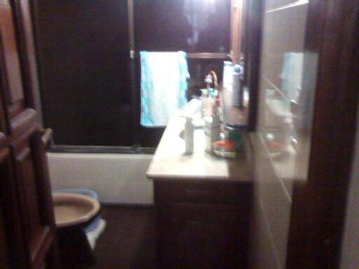 Vendo importante Chalet