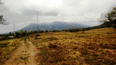 Venta Terreno 5 ha - Autopista 25 de Mayo Km 3 - San Luis