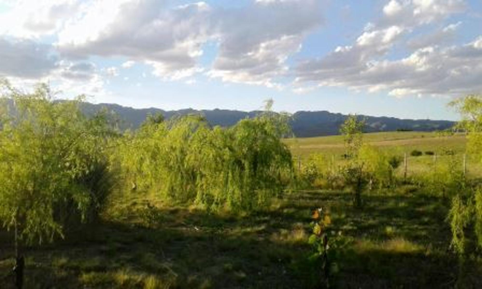 Venta Campo - 14ha con casa rural - Estancia Grande - San Luis