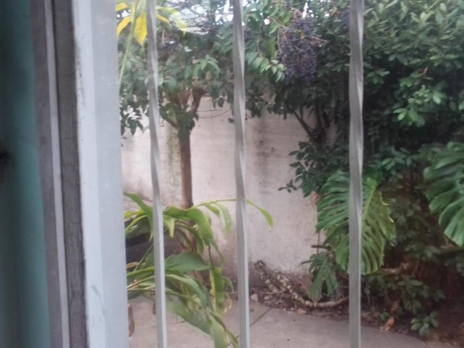 Imagens