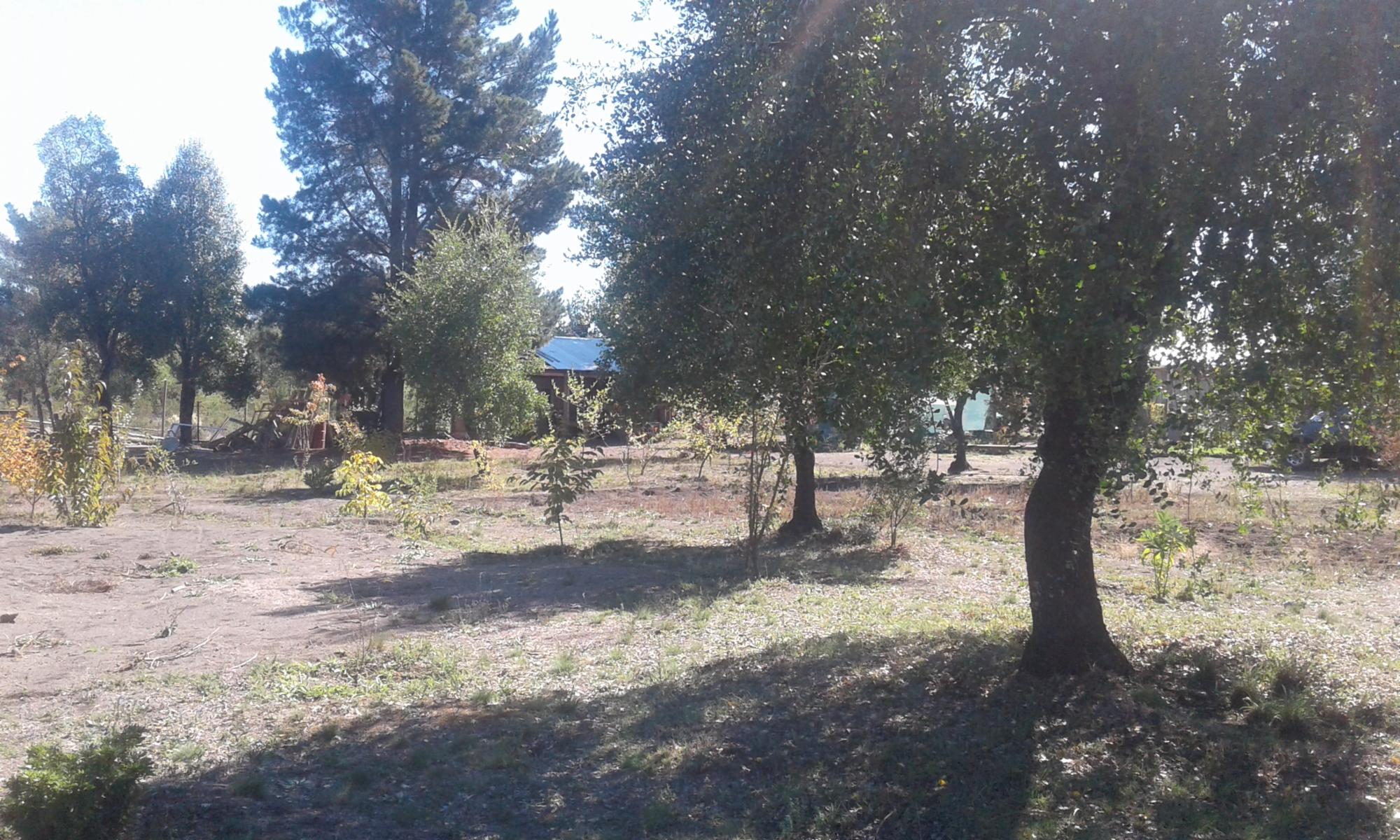 Venta Amplia Casa en Parcela Rarinco Los Ángeles 