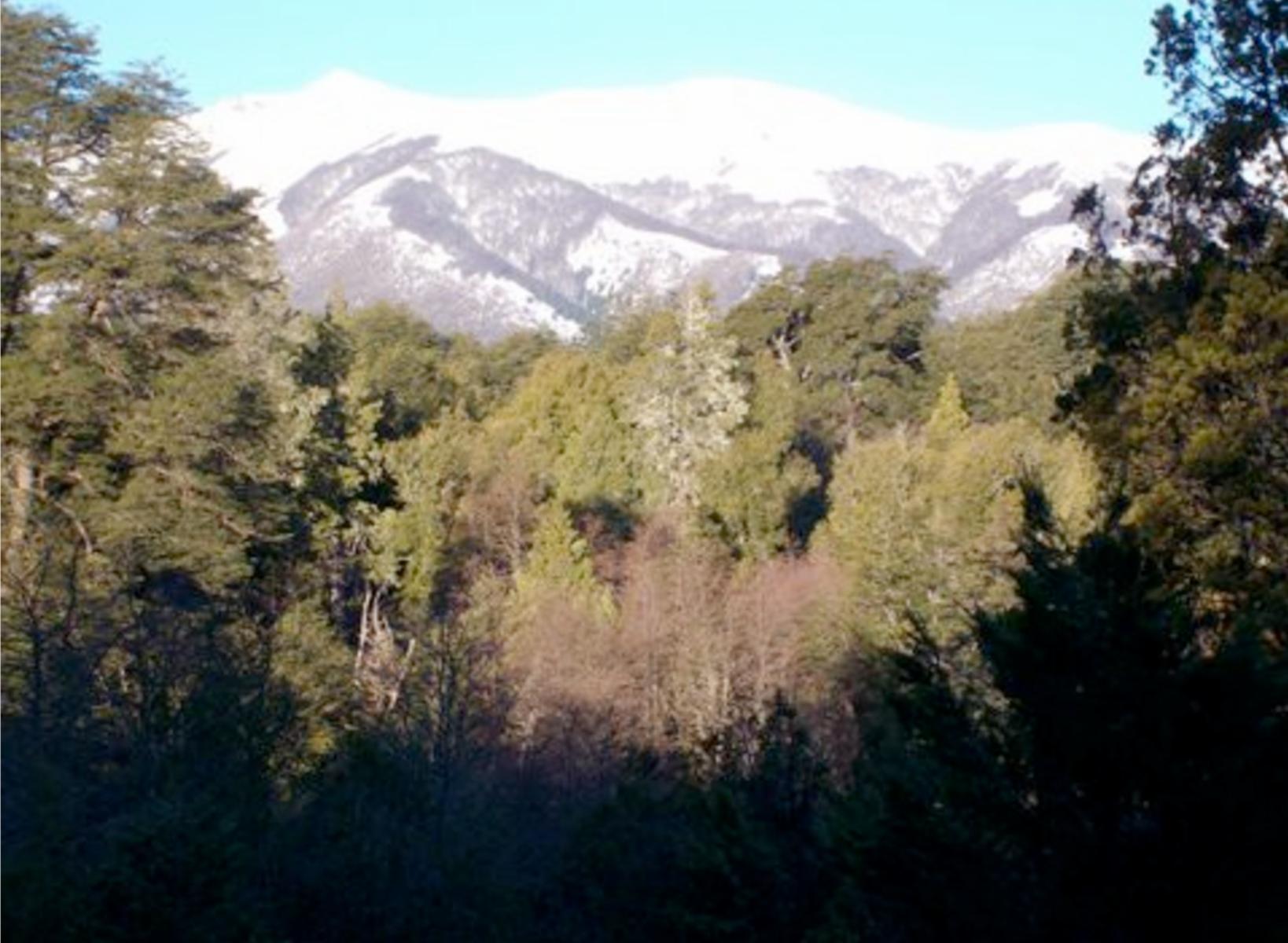 Casa en Rincon de Lynch