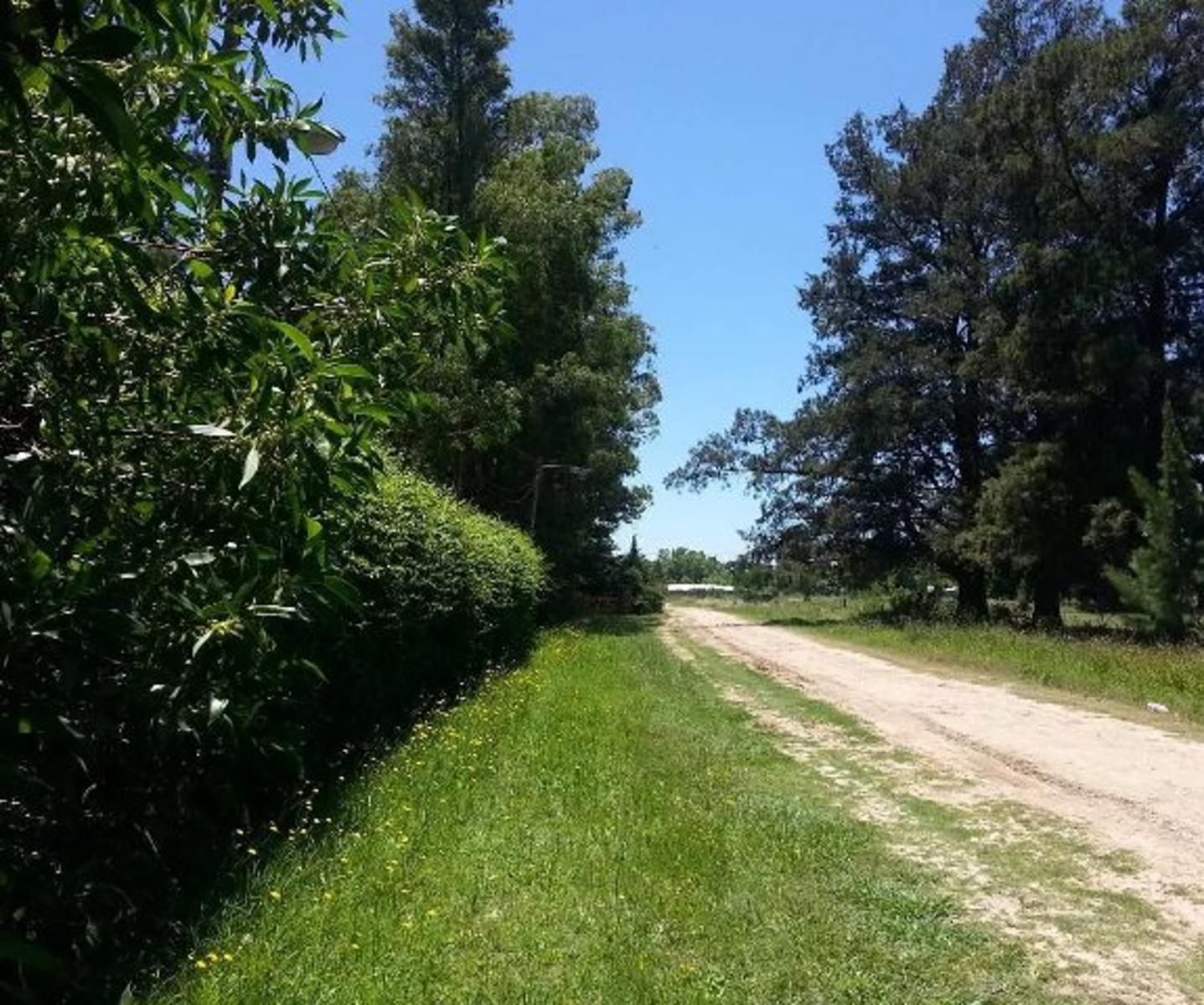 Venta 3 Terrenos juntos 45 x 36 mts. a metros de Ruta 2 Km. 58. La Plata.