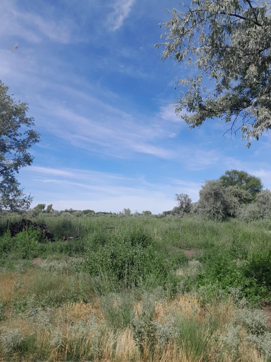 Chacra en zona de Valle Medio