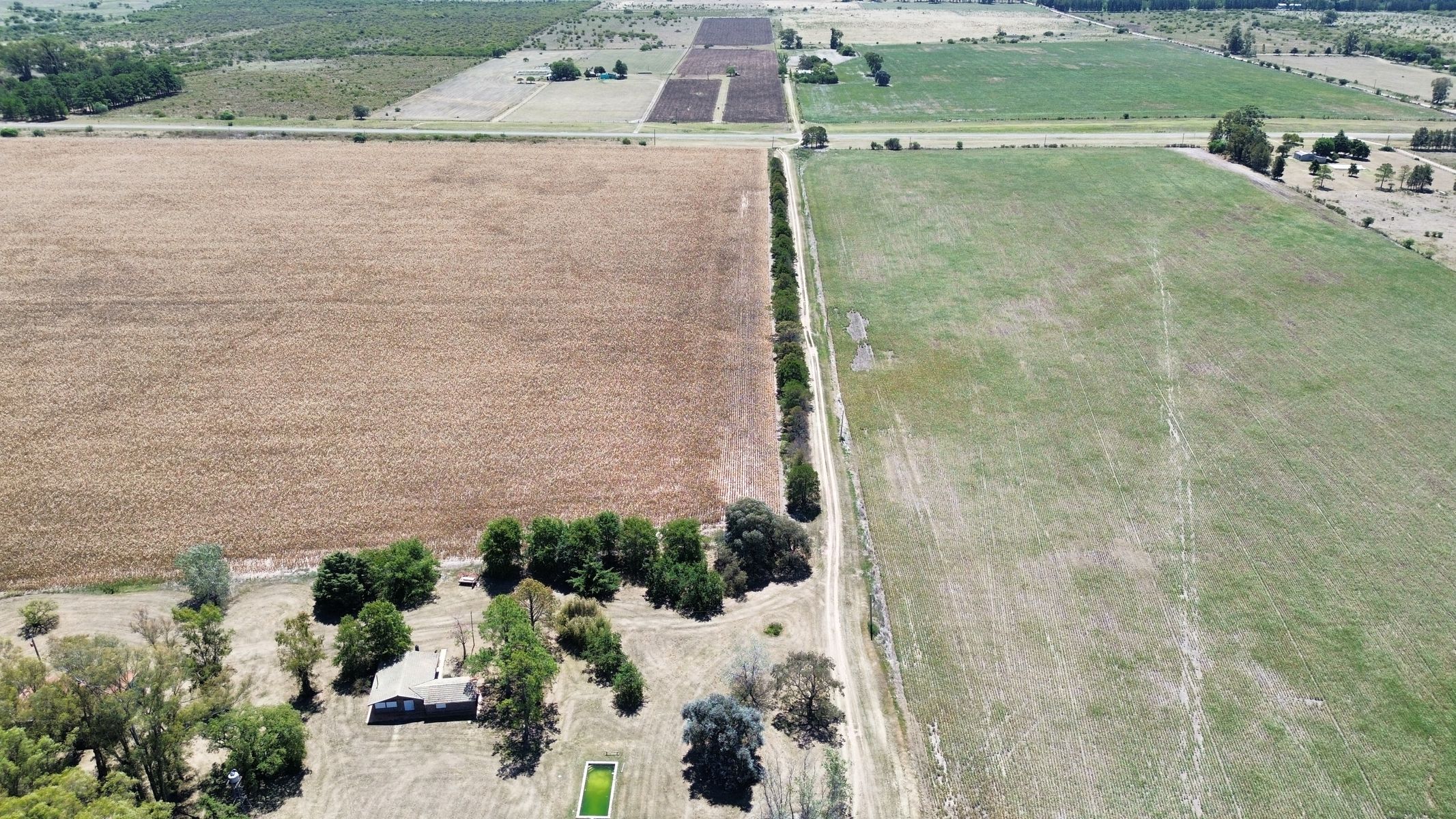 Vendo Campo de 349 hectáreas en Gualeguaychú, Entre Ríos.