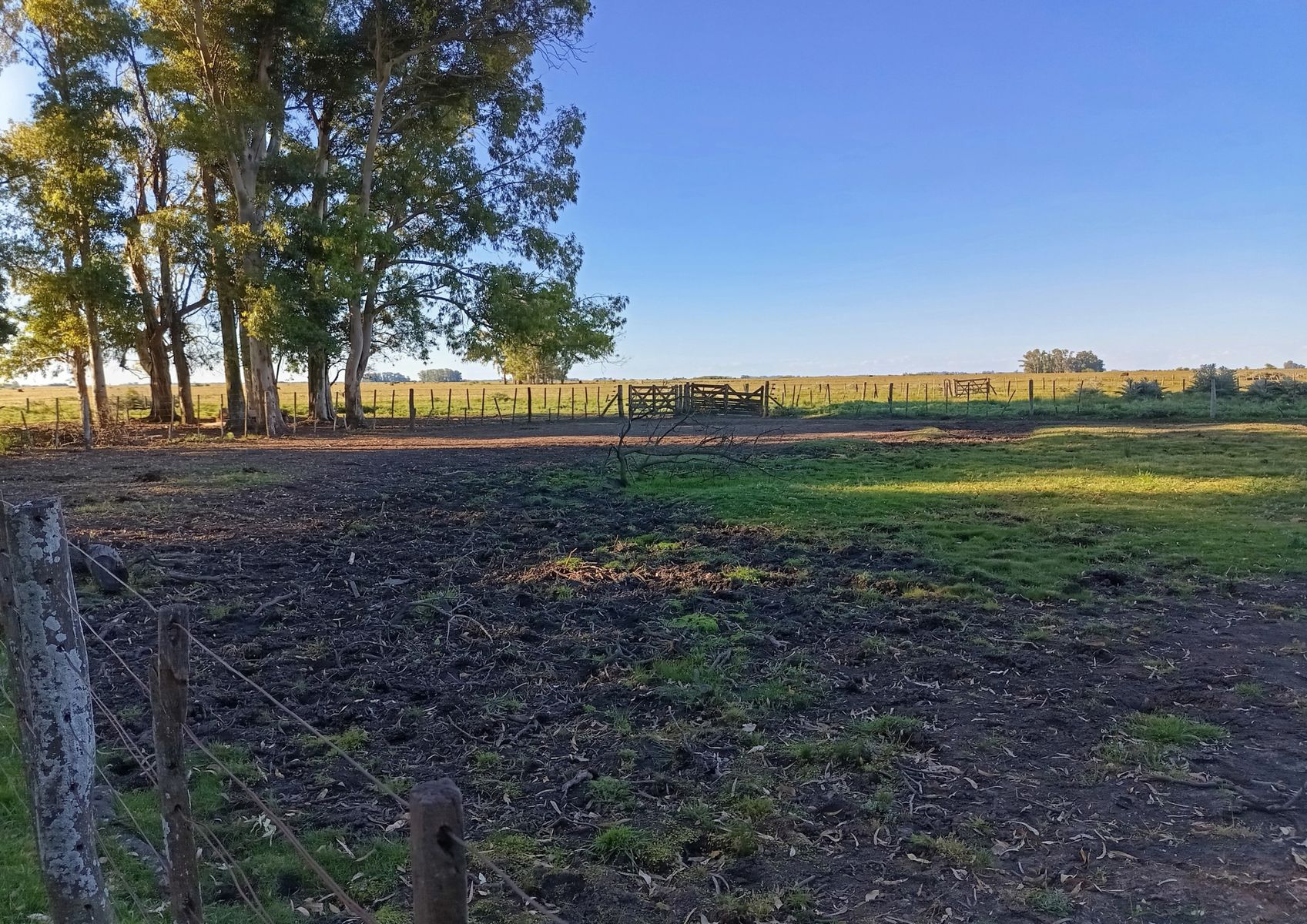 CAMPO en Venta en Punta Indio 170 hectáreas