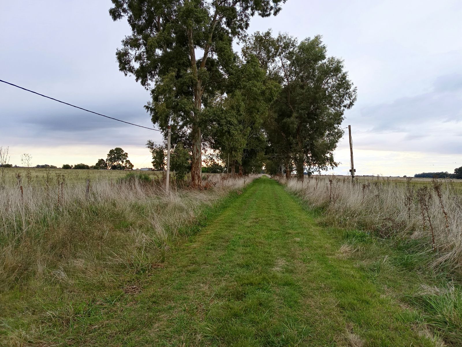 CAMPO en Venta 50 hectáreas en Punta Indio