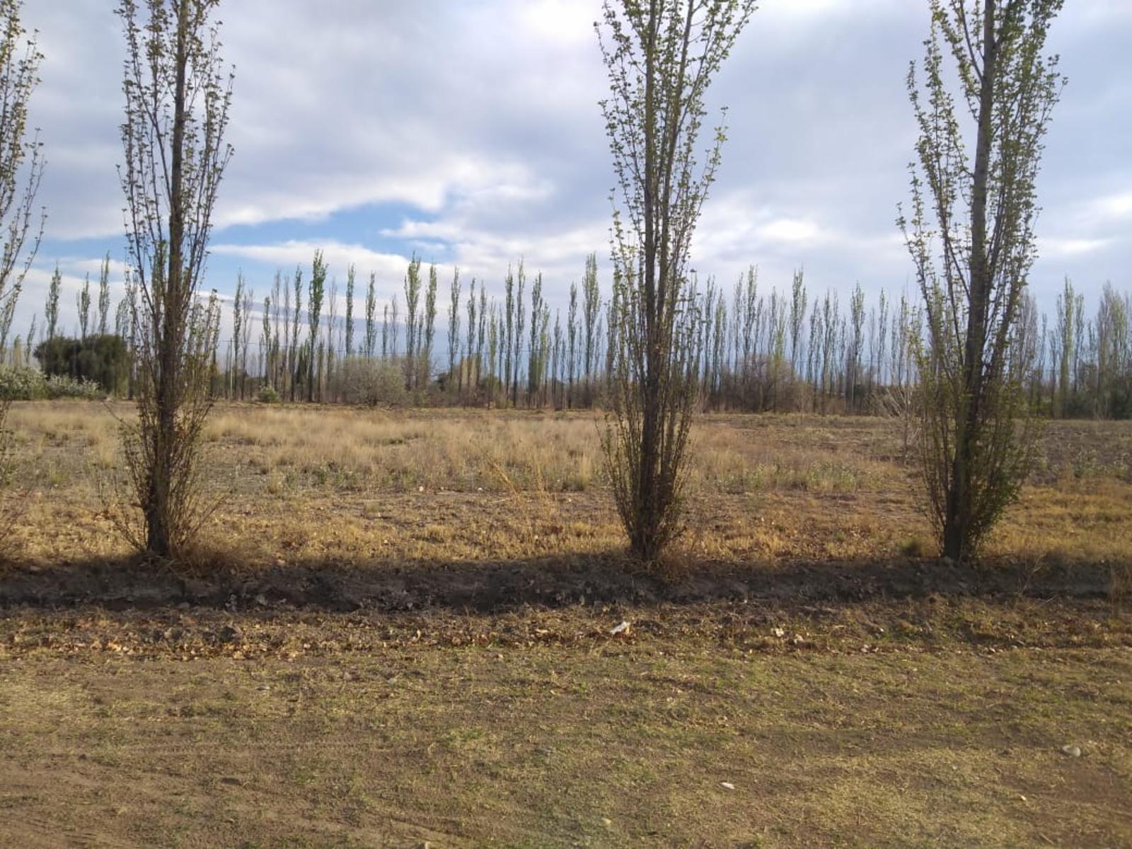 VENDO LOTE EN LAS PAREDES EXCELENTE PRECIO Y UBICACIÓN 1120 M2 DE TERRENO. SAN RAFAEL. MENDOZA.