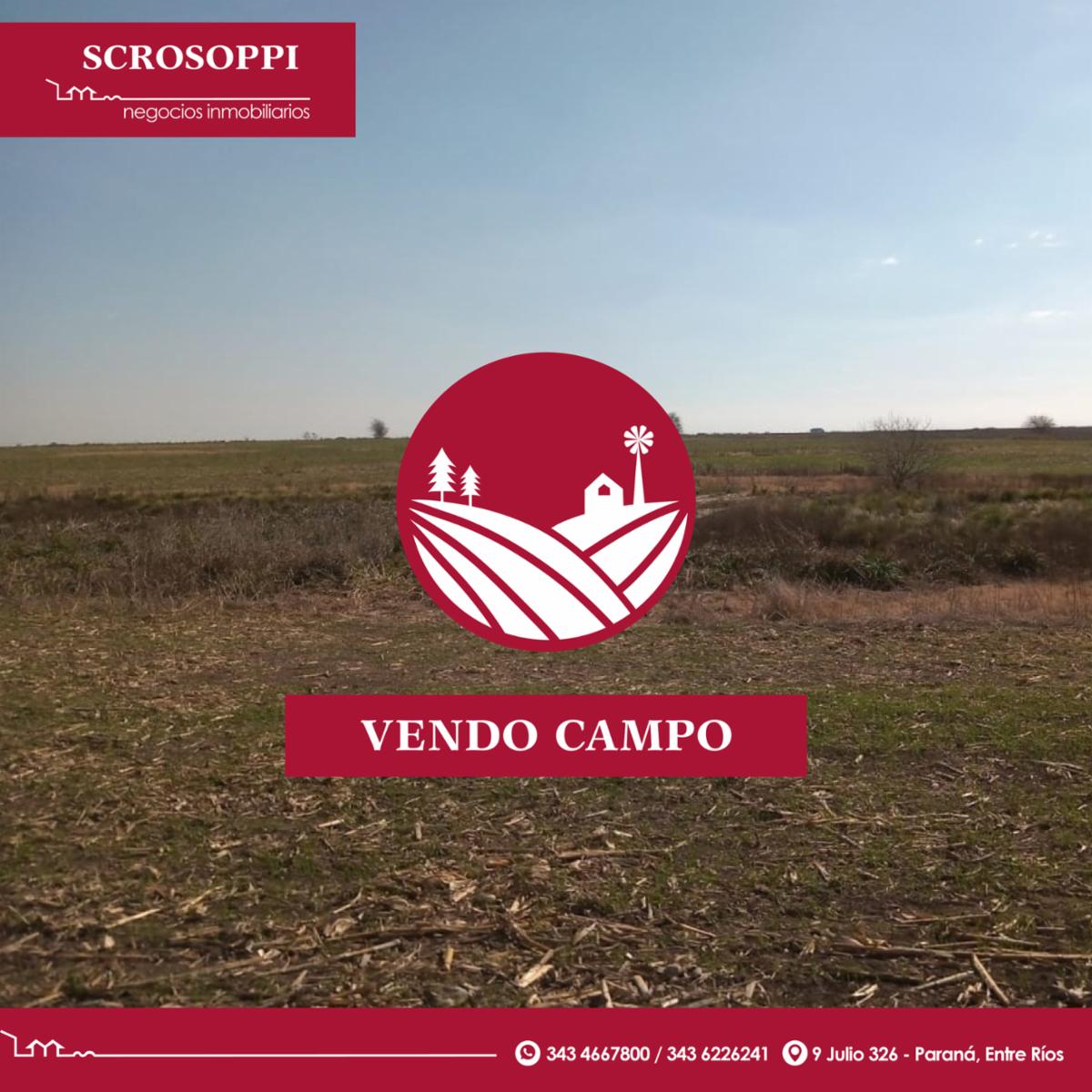 Vendo campo: ¡muy linda tierra