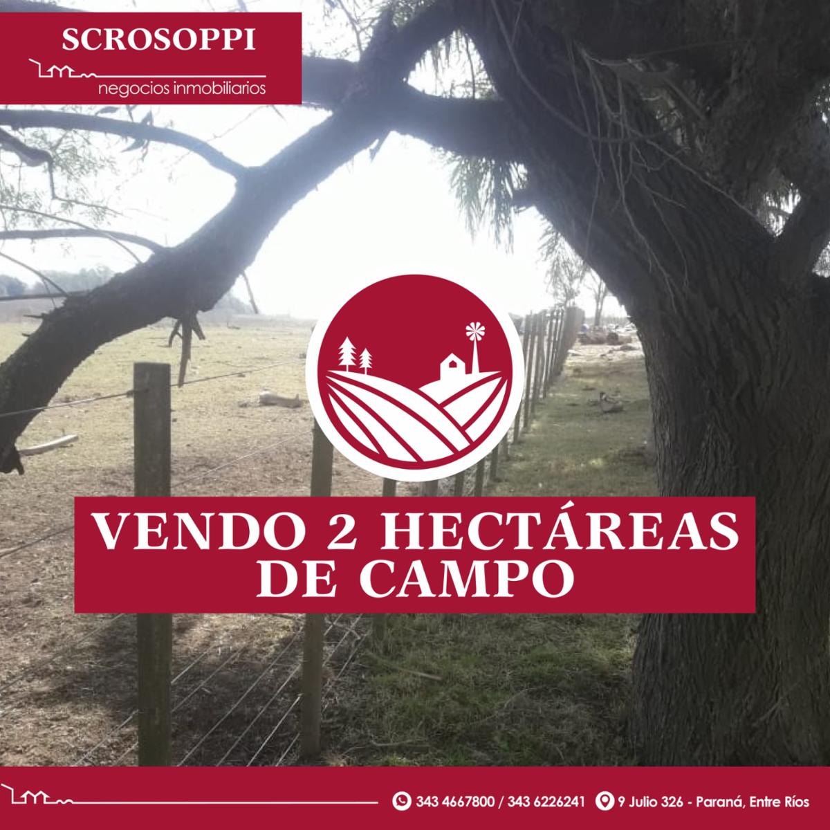 Vendo 2 hectáreas de campo