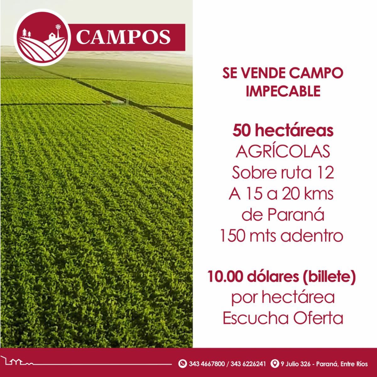 Se vende campo impecable