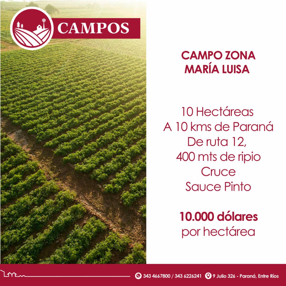 Campo en zona María Luisa
