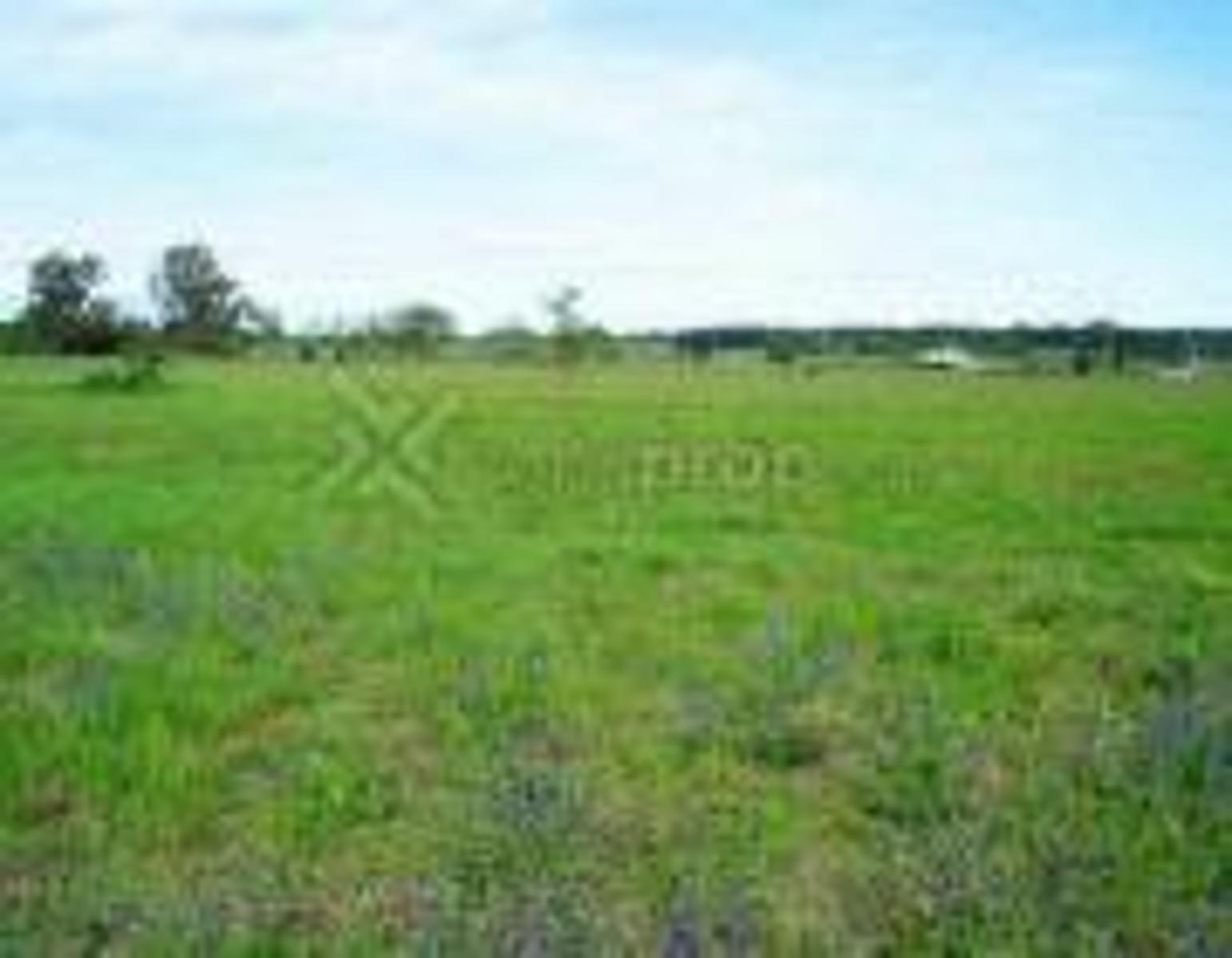 LAS VIZCACHAS - CHACRA EN VENTA