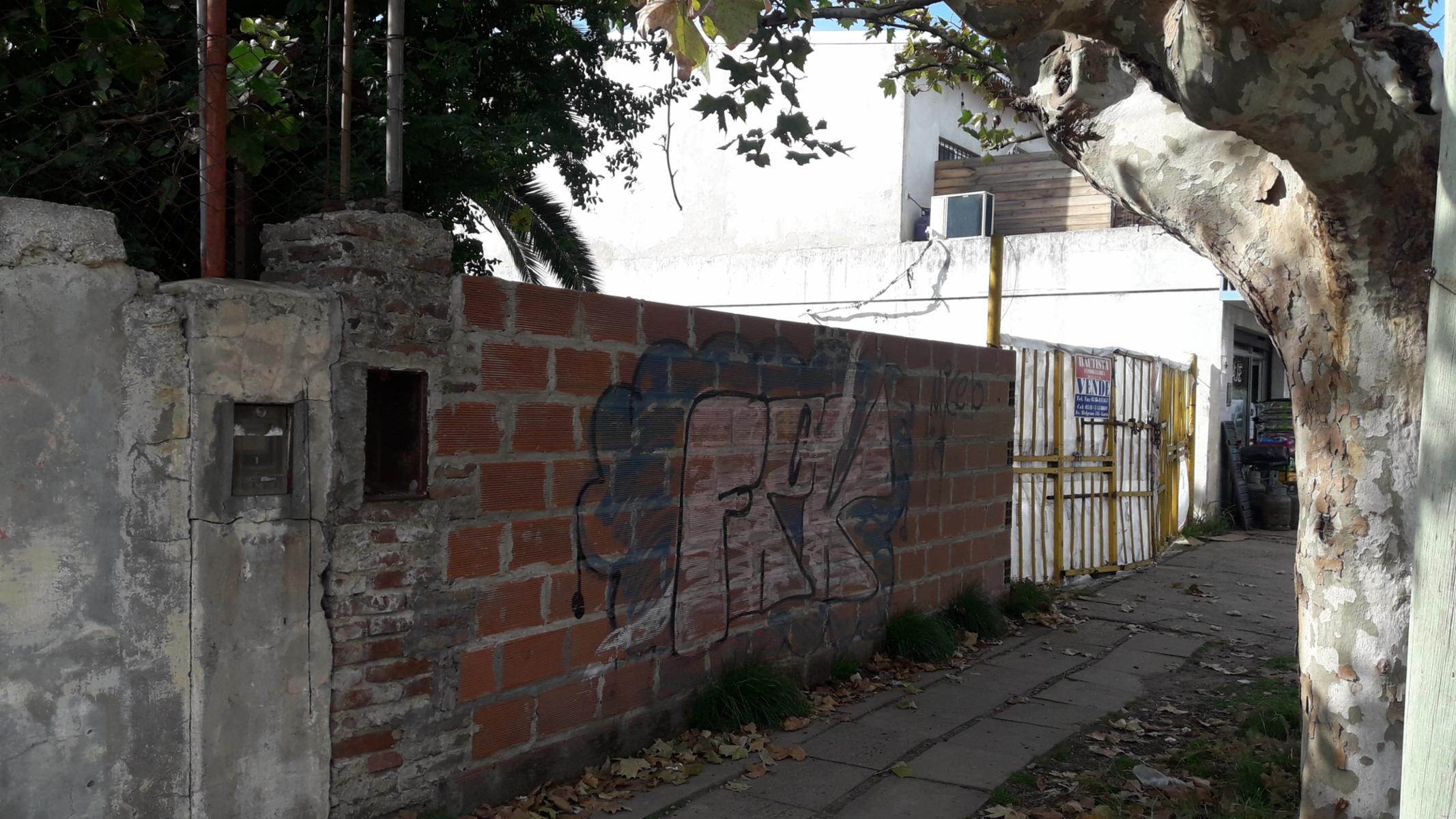 Imagens