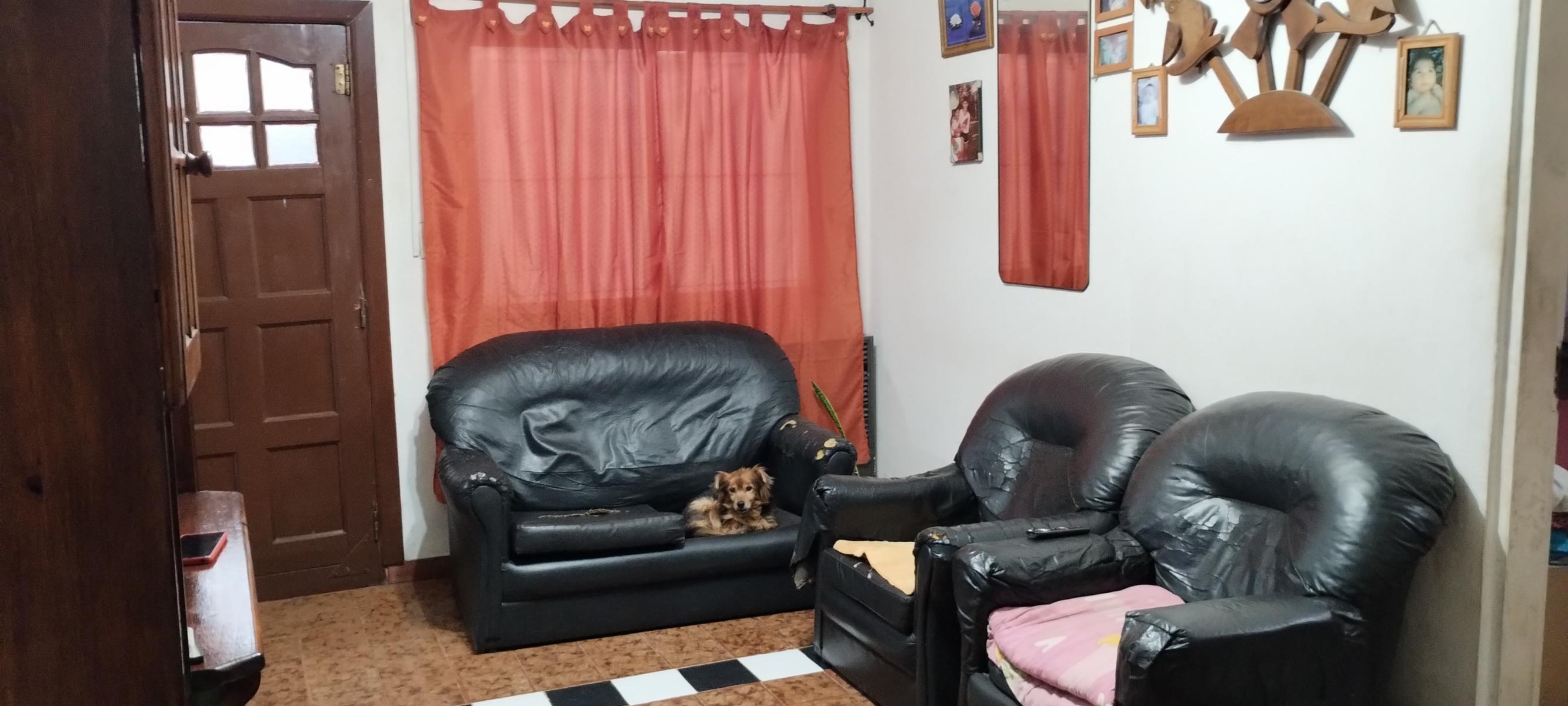 Imagens
