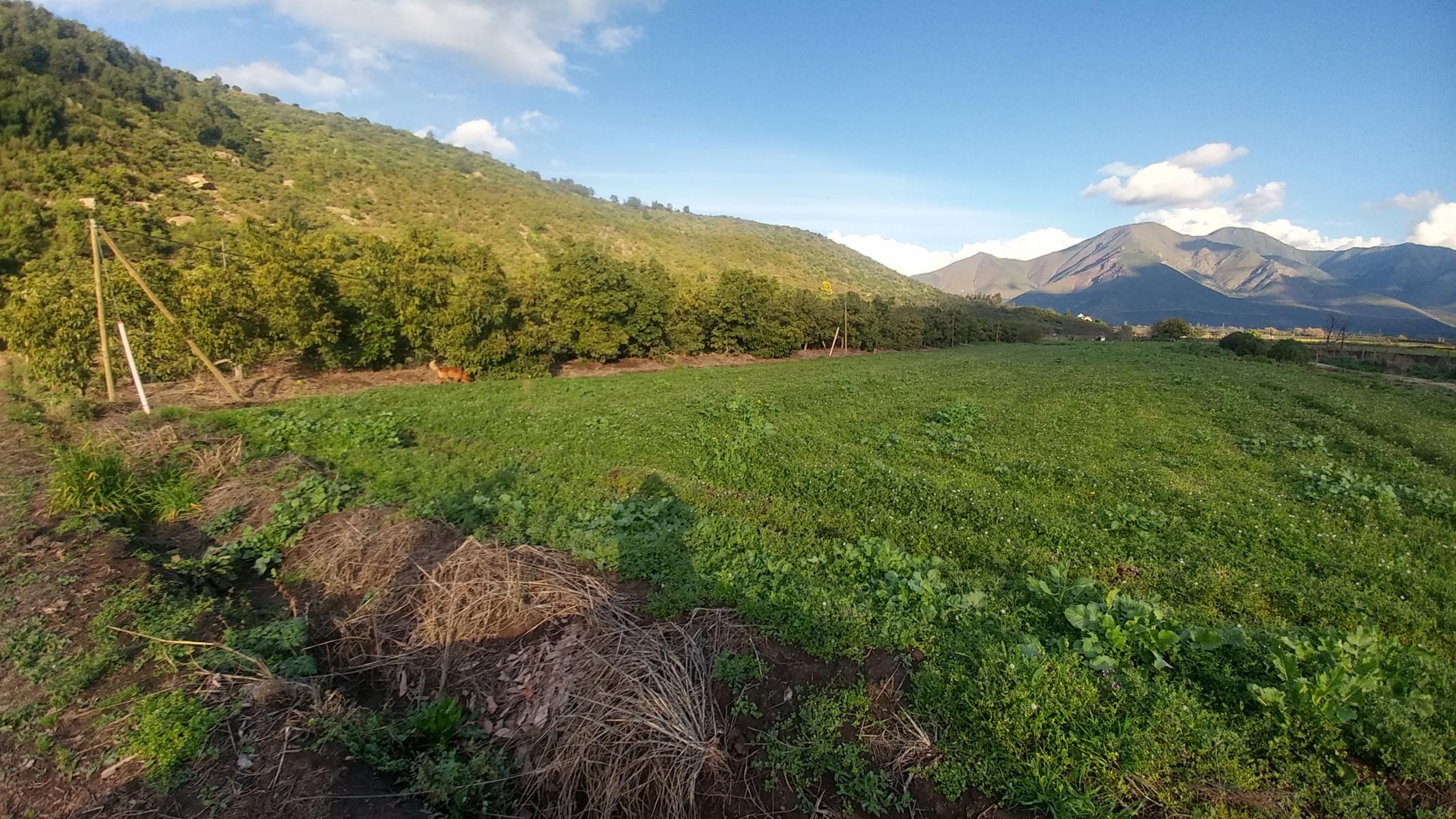 parcelas 5000m2 y 7000m2 en hijuelas V region