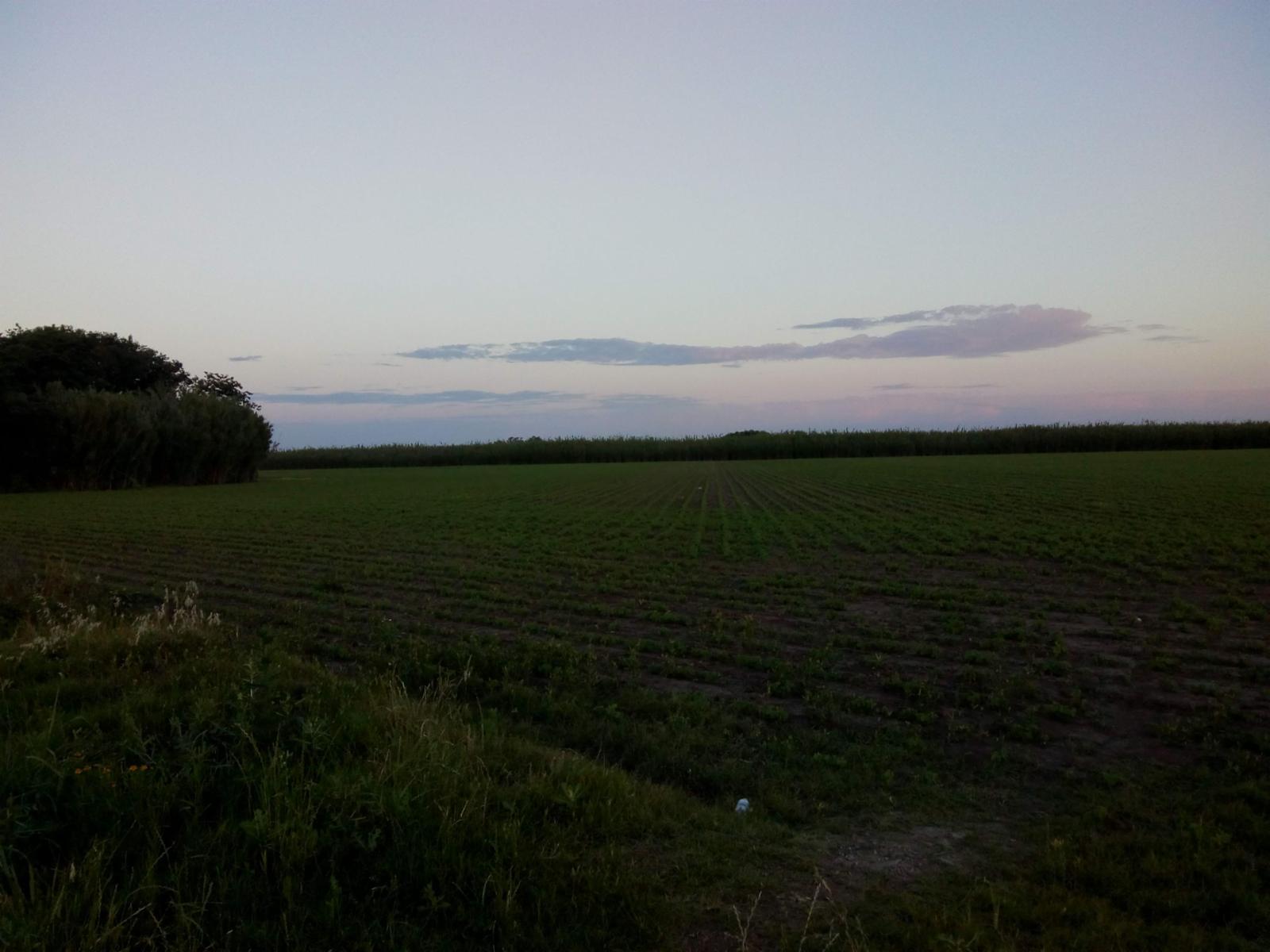 SE VENDE CAMPO IDEAL PARA INDUSTRIAS