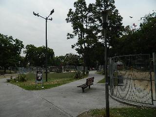12.jpg