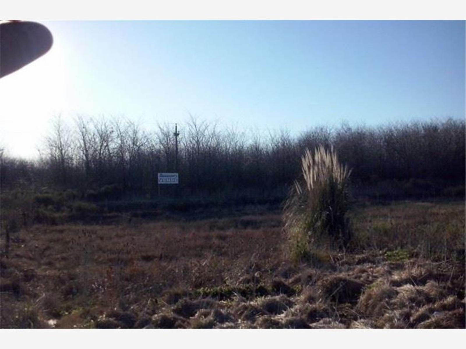 Campo en venta en Navarro