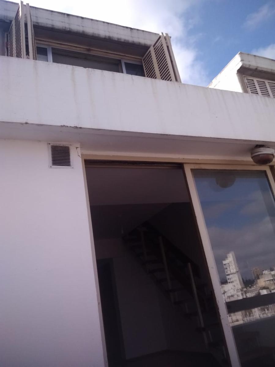 Imagens