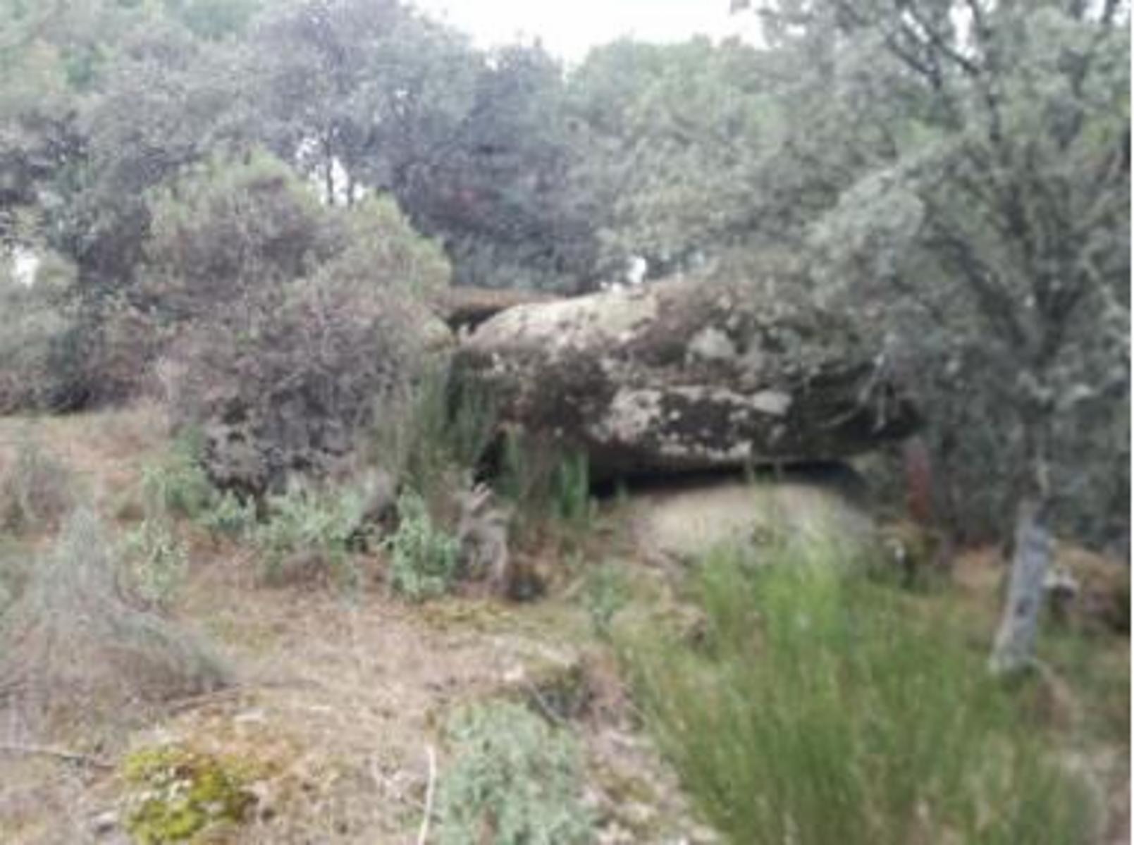 Finca de 5 Hectareas Junto a Urb Costa de Madrid