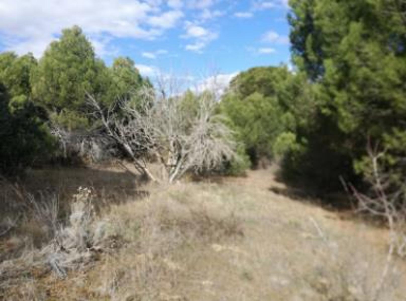 Finca a 1 km de Costa de Madrid