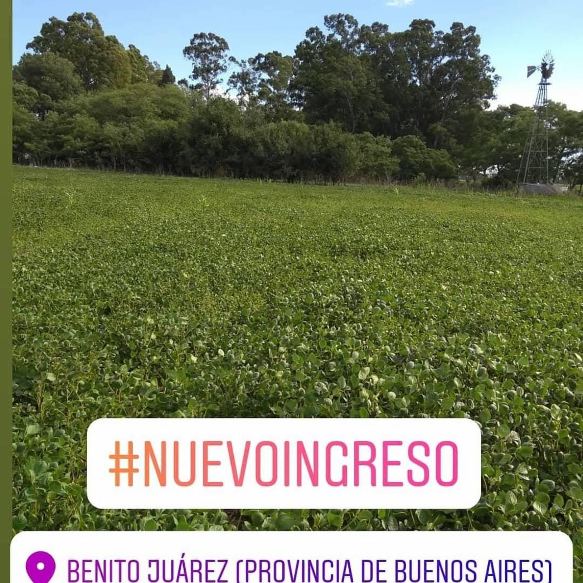 QUINTA 21 HA EN BENITO JUAREZ, BUENOS AIRES
